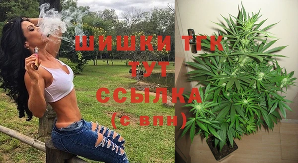 дмт Алзамай