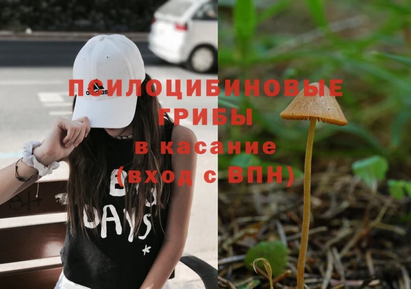 дживик Алексеевка