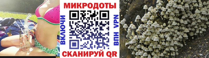 гидра ссылки  Ардатов  Псилоцибиновые грибы MAGIC MUSHROOMS  хочу наркоту 